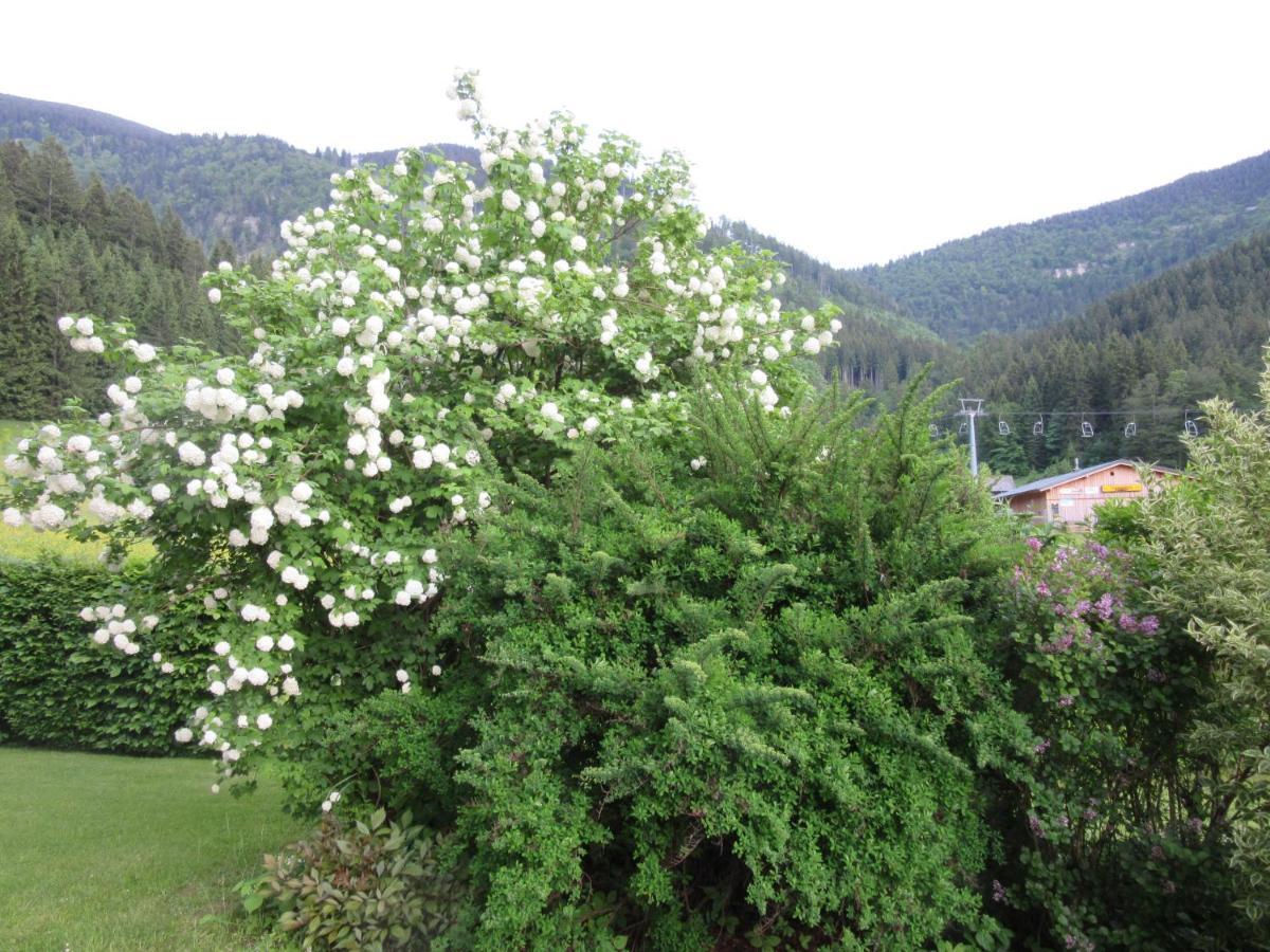 Haus Margarete Apartment Lackenhof Bagian luar foto